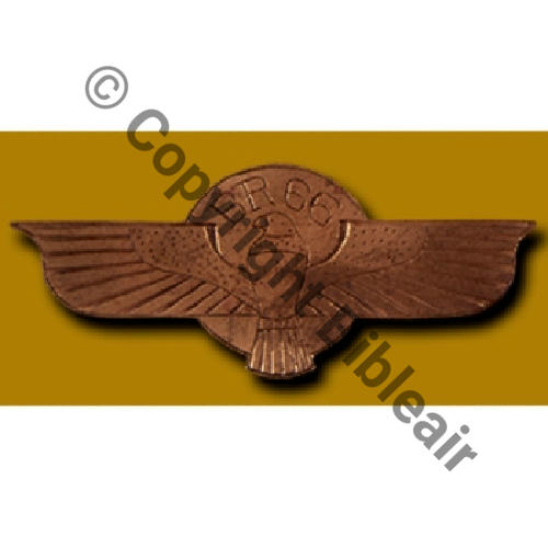 066  1920... A1383NH BR.66 CUIVRE GRAVE Fab PERSO... Src.Ph.BARTLETT via A.DENIS 